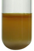 Brown iodine solution is present after reaction with a white precipitate of copper(I) iodide settling to the bottom