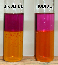 Iodine appears darker in the potassium iodide solution compared to the potassium bromide solution