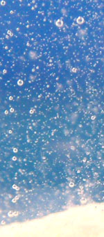 Effervescence