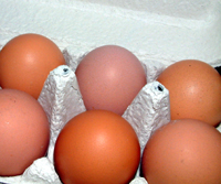 Rotten eggs give off hydrogen sulphide gas