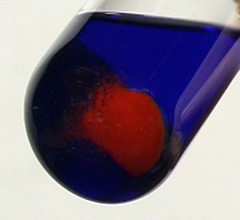 Red copper(I) oxide resulting from a positive Fehling's test