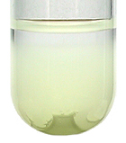 The pale yellow precipitate of iodoform produced in a positive iodoform test