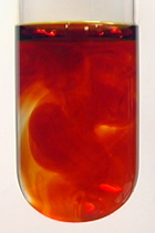 Deep red solution resulting from thiocyanate test for iron(III)