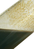 No change with excess, but after a short time a brown solid indicates oxidation has taken place