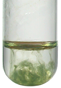 A green precipitate