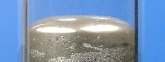 Mercury meniscus curves upwards