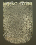 bubbles of colourless gas