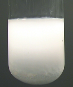 A white precipitate