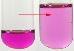 Purple solution is diluted