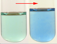 Green solution turns blue