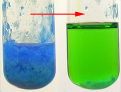 Blue precipitate dissolves, solution turns green