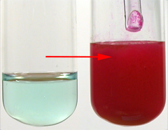 Red precipitate formed