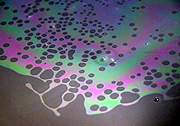 A thin film of oil floats on water creating interference effects with light
