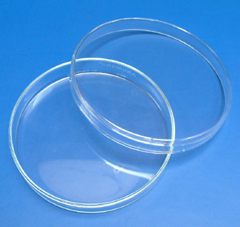 Petri dish and lid