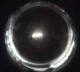 View down the polarimeter at maximum and minimum light