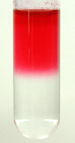 There may appear to be two layers, but this indicator is just poorly mixed in the test tube