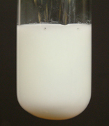 cream silver bromide precipitate