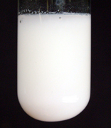 White silver chloride precipitate