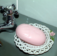 A bar of soap