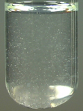 The white precipitate dissolves in excess NaOH