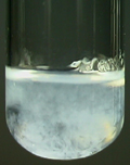 A white precipitate