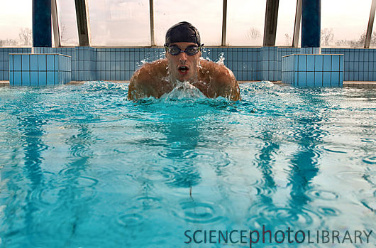 F0051651-Man_swimming_in_indoor_pool-SPL.jpg