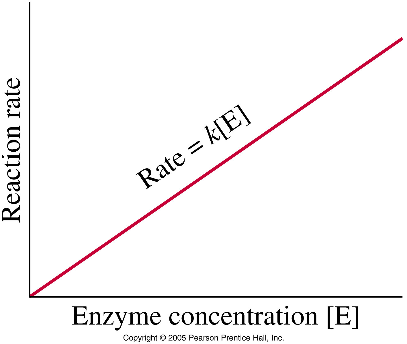 ../6-Kinetics_Photos/FG13_24.JPG