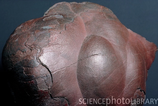 9-Oxidation_and_Reduction_Photos/iron 1 fe 2+ E4251076-Haematite_(kidney_ore)-SPL.jpg