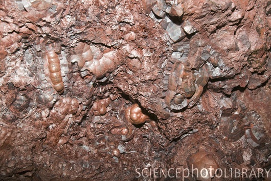 9-Oxidation_and_Reduction_Photos/iron 3 C0061559-Kidney_ore_of_Hematite-SPL.jpg