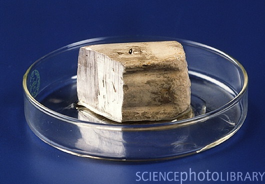 9-Oxidation_and_Reduction_Photos/reactivity 4 SL Atoms vs molecules vs elements 1 A150233-Block_of_sodium_metal,_a_chemical_element-SPL.jpg