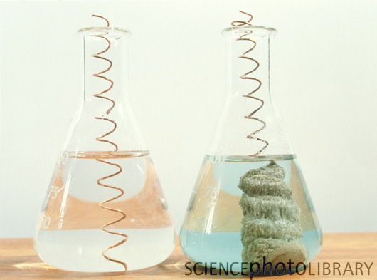 9-Oxidation_and_Reduction_Photos/reactivity 7b A5000255-Metal_displacement_reaction-silver-nitrate-copper-SPL.jpg